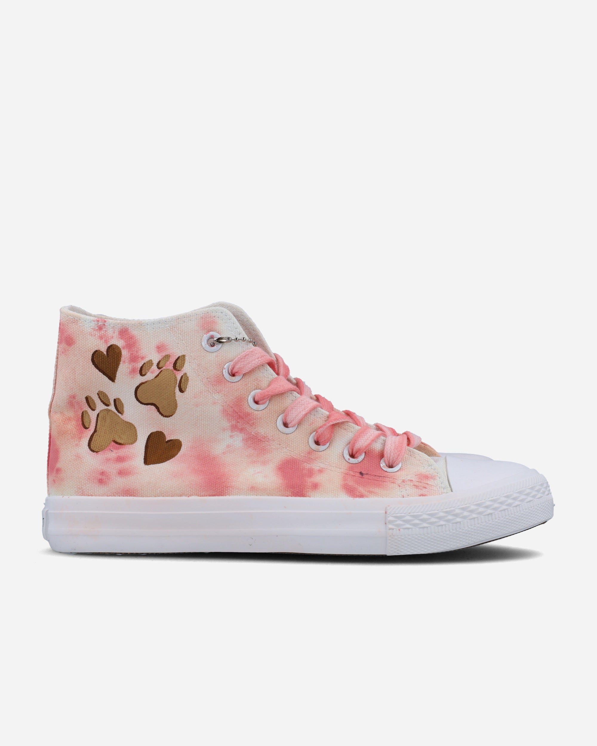 Pet Portrait Watercolour Background Hand Painted Shoes