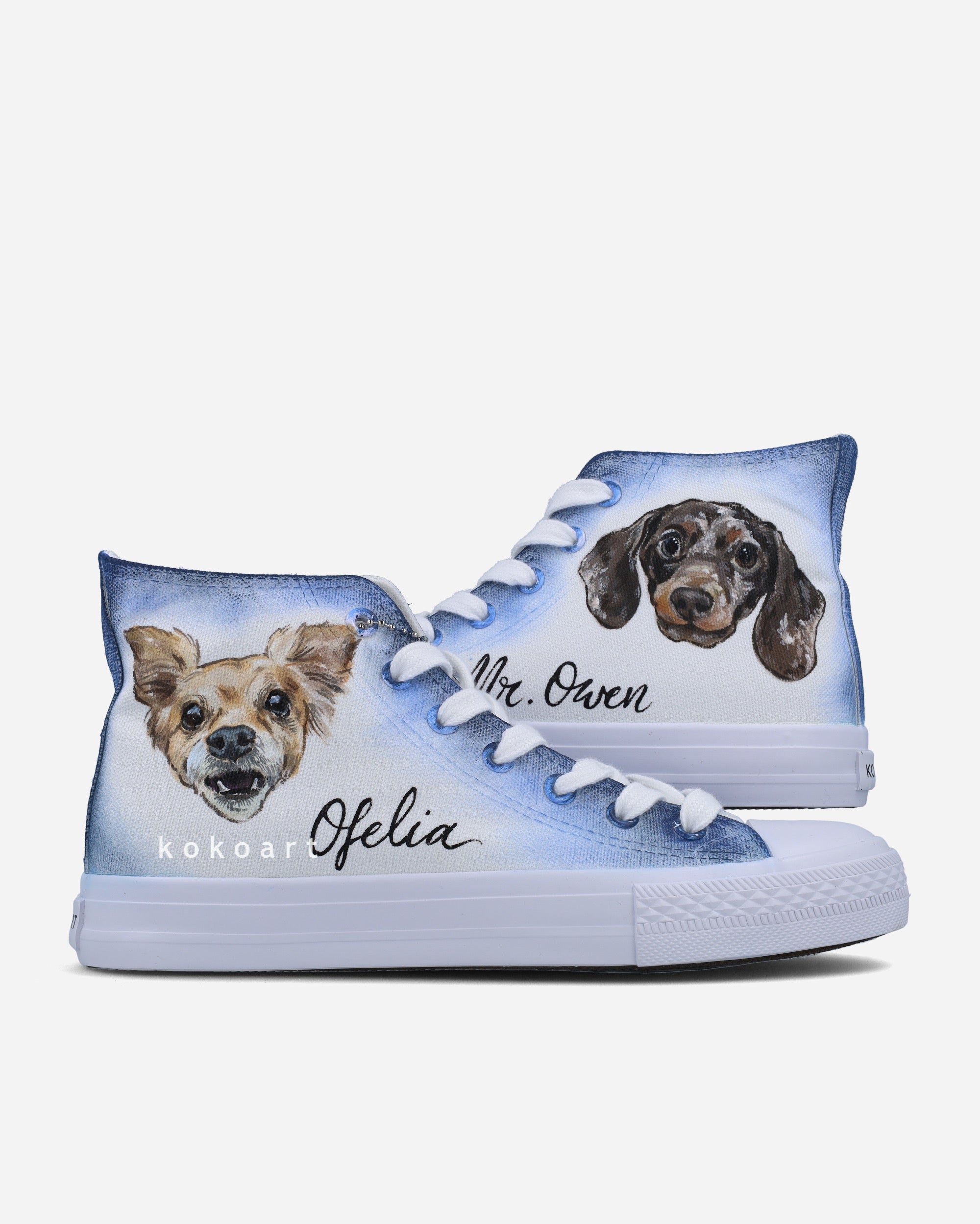 Customisable Pet Portrait Hand Painted Shoes